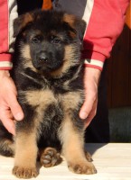 /album/a6-weeks/stence-d-6-weeks-148-jpg/